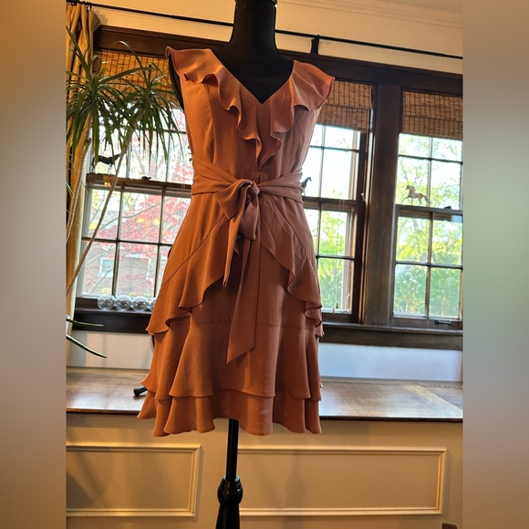 Express Ruffle Mini Dress - Picture 6 of 11